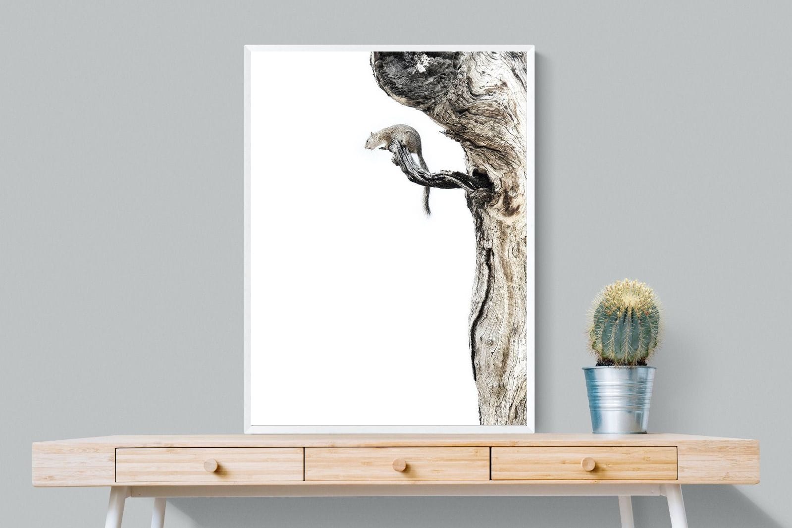 Tree Squirrel-Wall_Art-75 x 100cm-Mounted Canvas-White-Pixalot