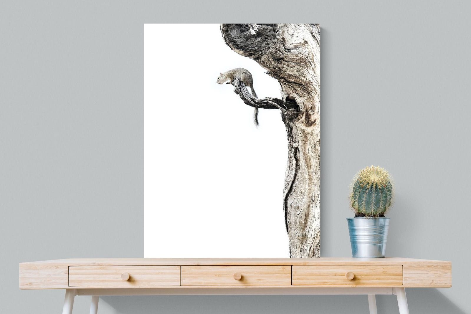 Tree Squirrel-Wall_Art-75 x 100cm-Mounted Canvas-No Frame-Pixalot