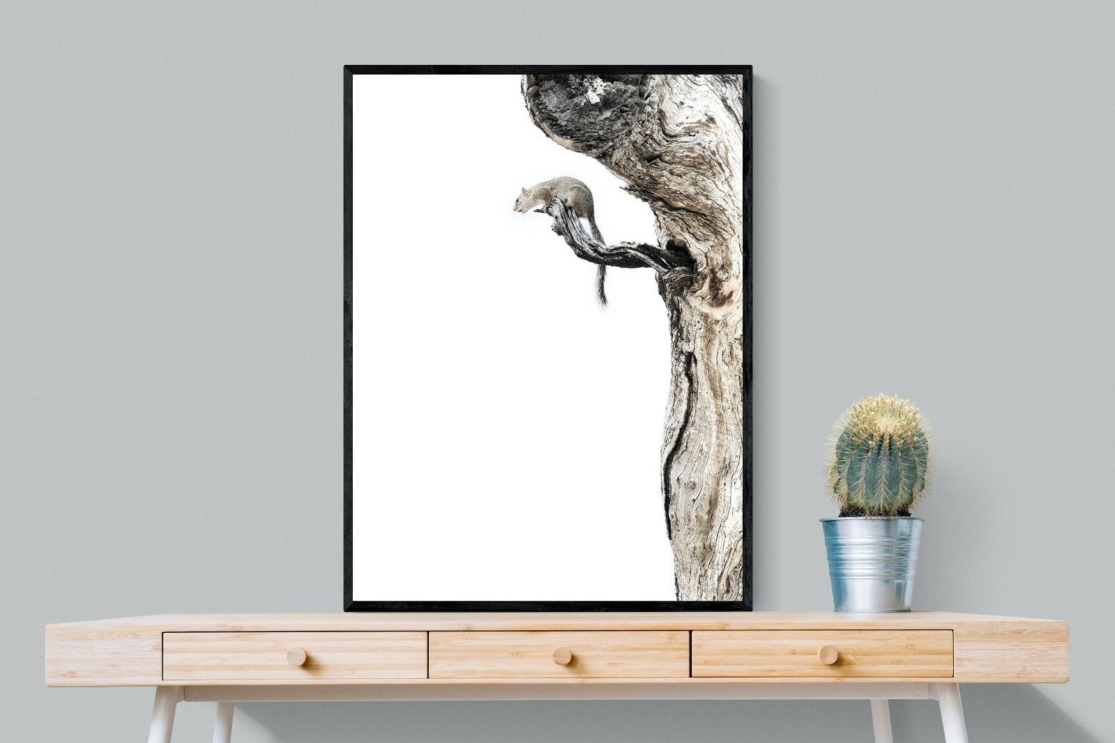 Tree Squirrel-Wall_Art-75 x 100cm-Mounted Canvas-Black-Pixalot