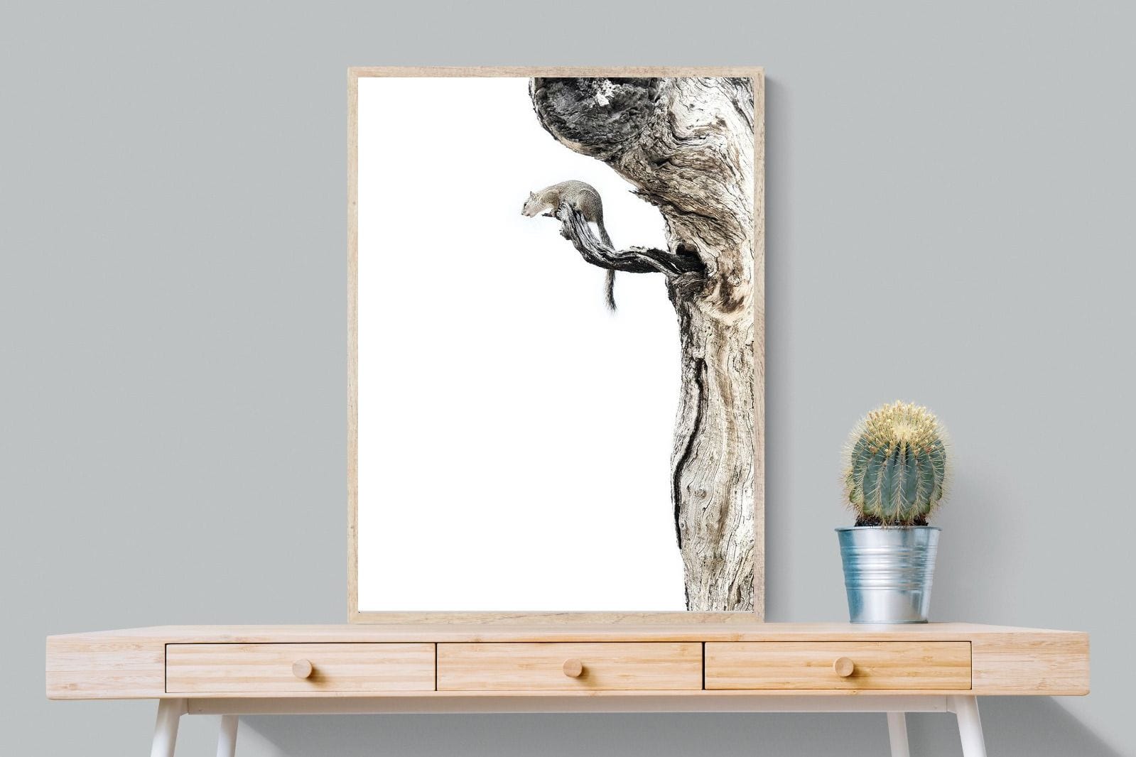 Tree Squirrel-Wall_Art-75 x 100cm-Mounted Canvas-Wood-Pixalot