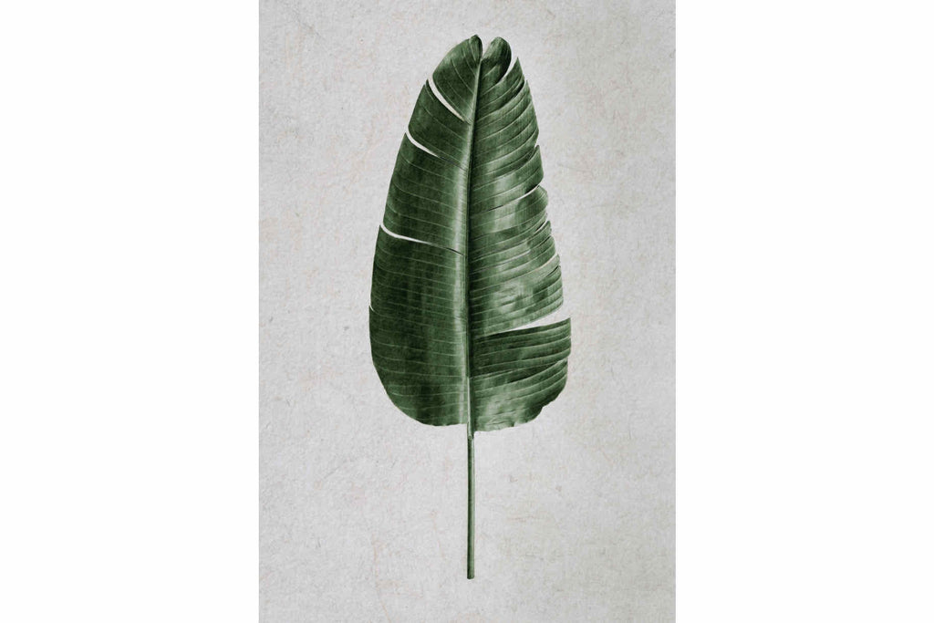 Tropical Leaf-Wall_Art-Pixalot