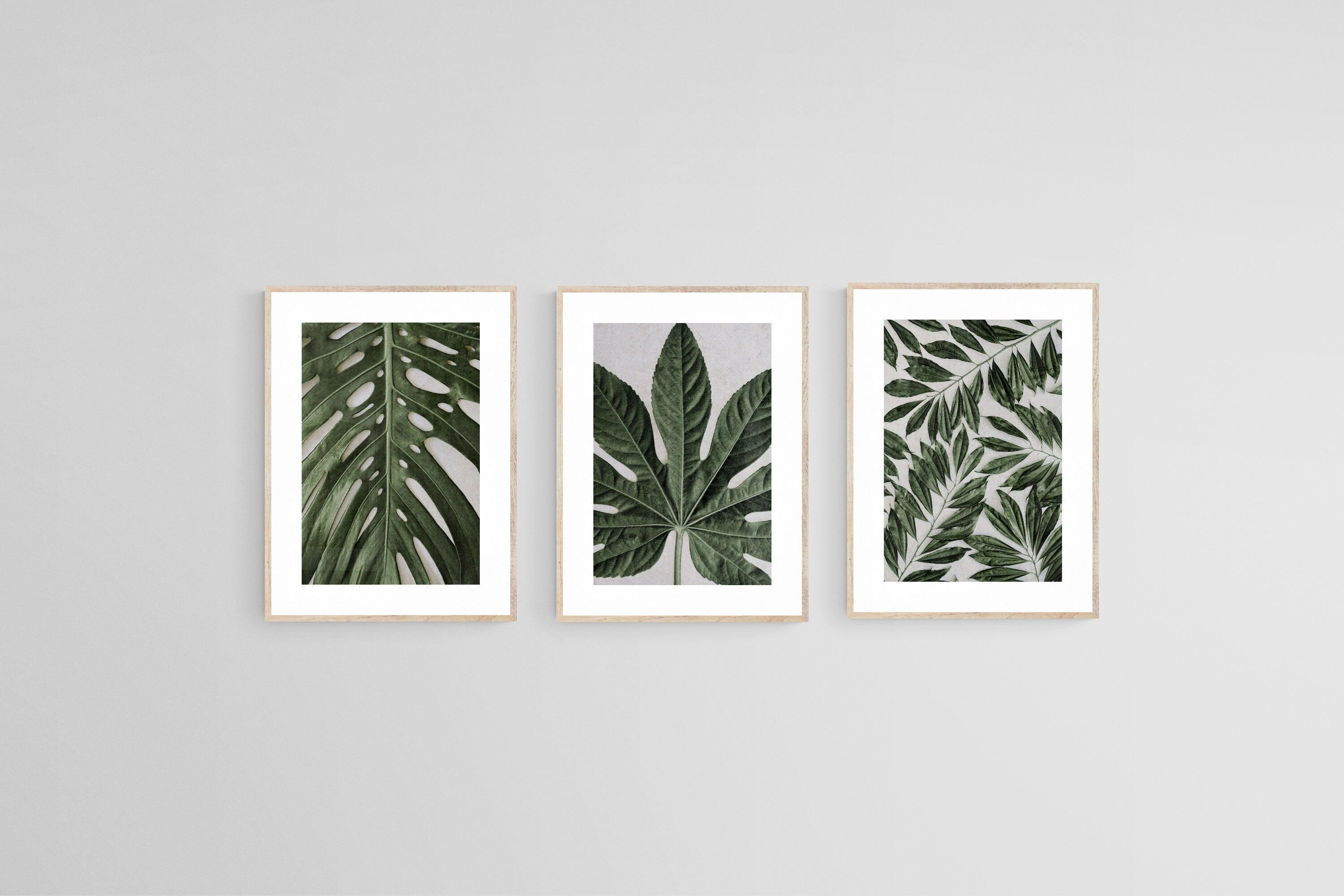 Tropical Leaves Set-Wall_Art-45 x 60cm (x3)-Framed Print-Wood-Pixalot
