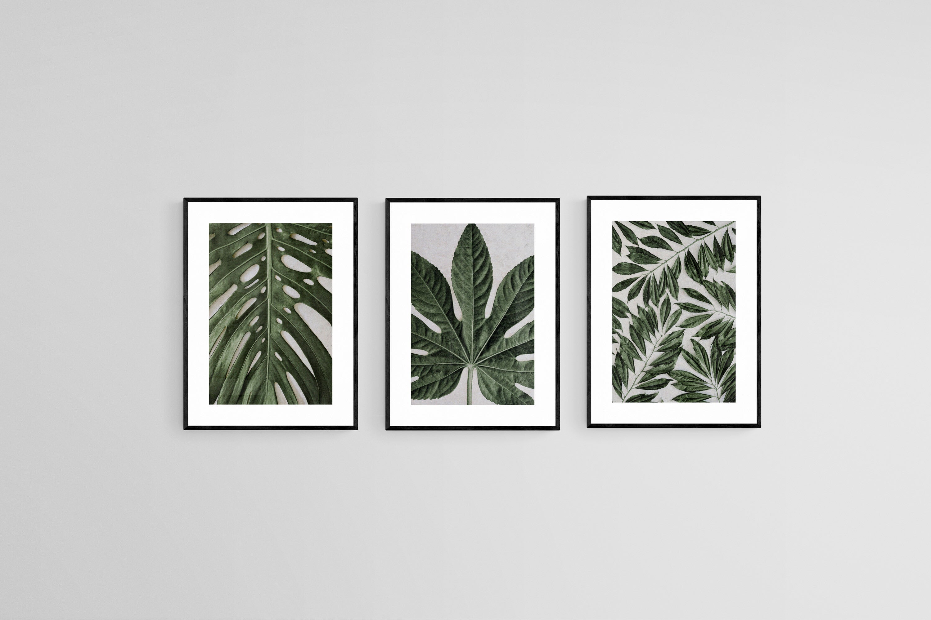 Tropical Leaves Set-Wall_Art-45 x 60cm (x3)-Framed Print-Black-Pixalot