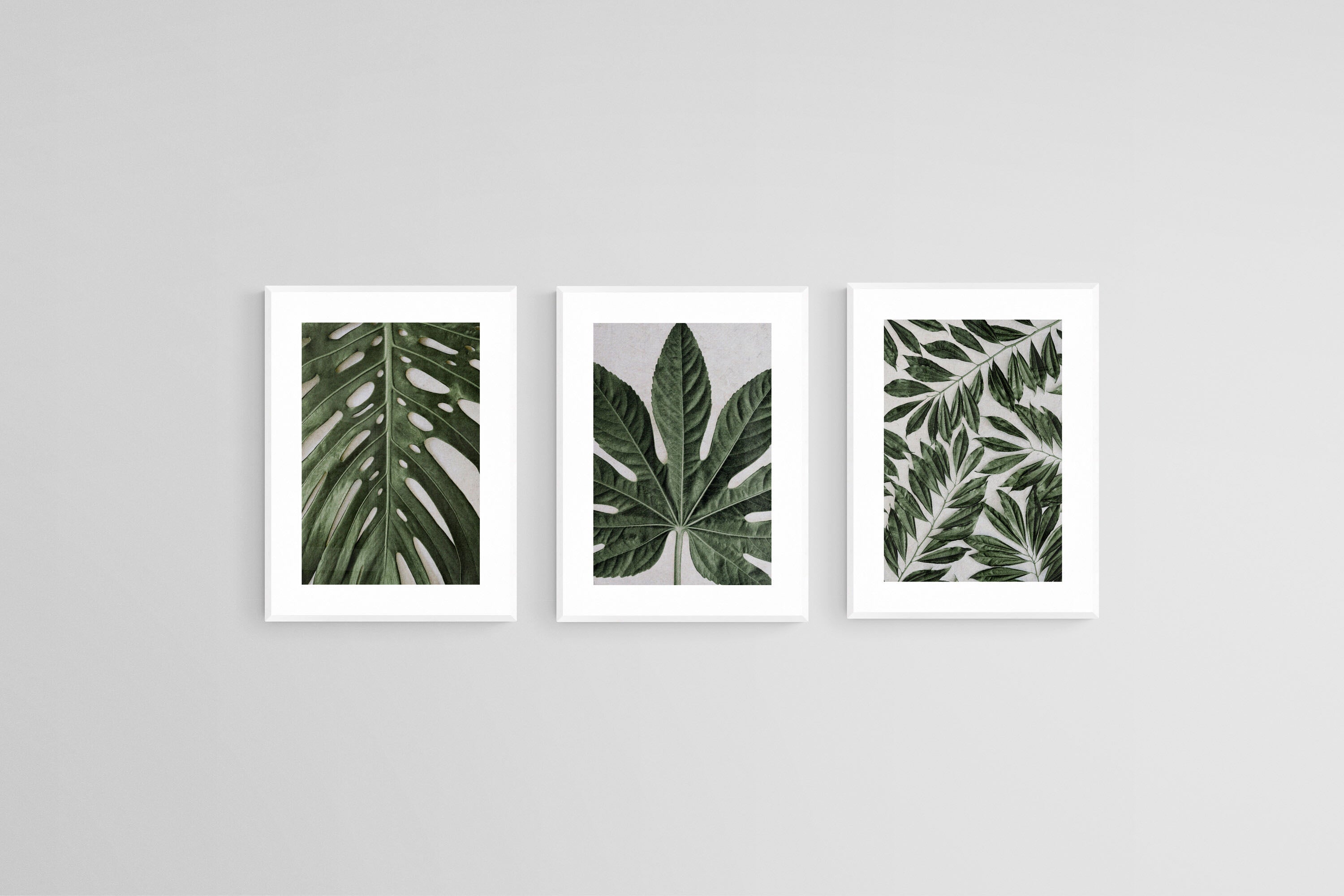 Tropical Leaves Set-Wall_Art-45 x 60cm (x3)-Framed Print-White-Pixalot
