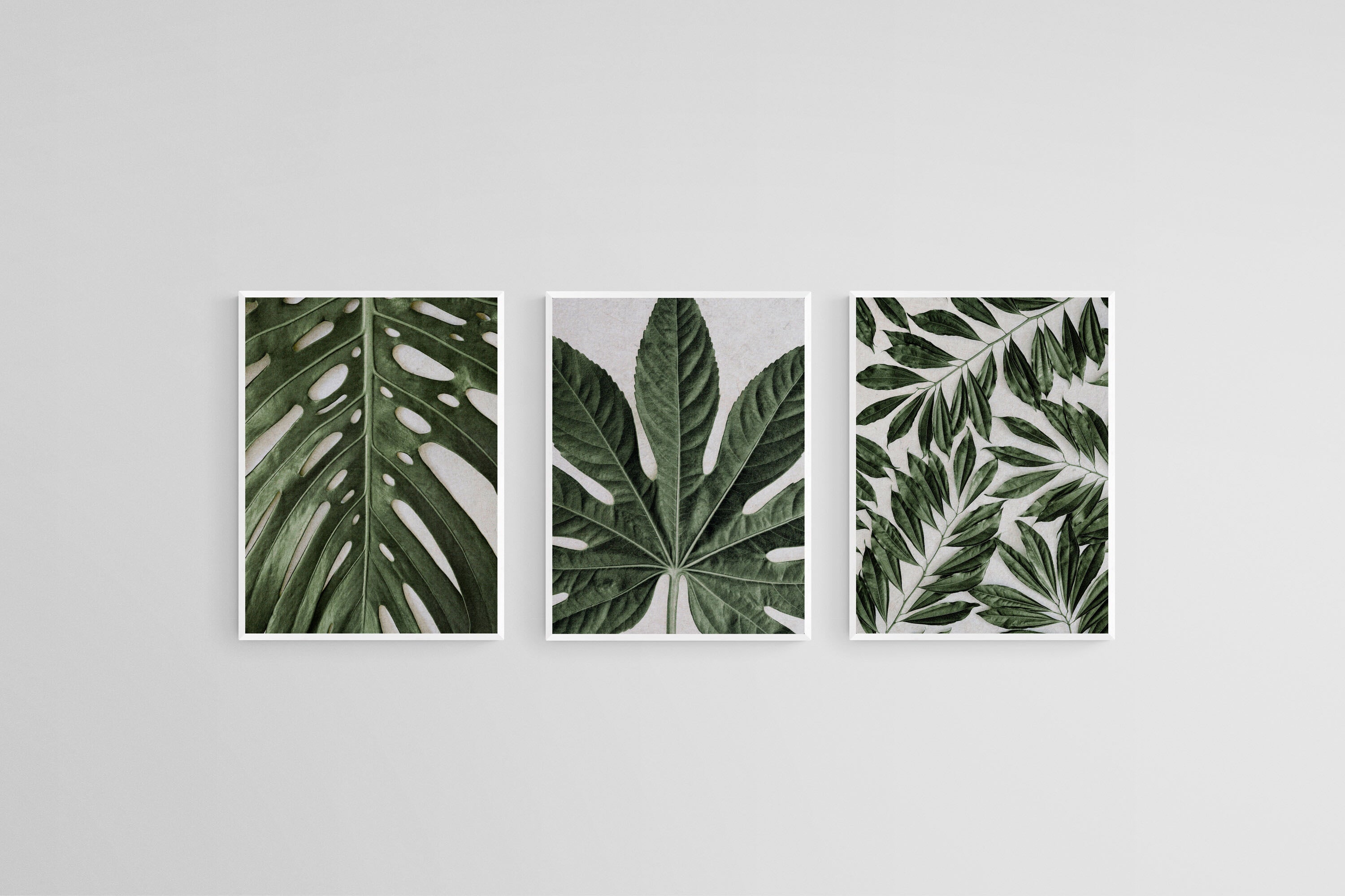 Tropical Leaves Set-Wall_Art-45 x 60cm (x3)-Mounted Canvas-White-Pixalot