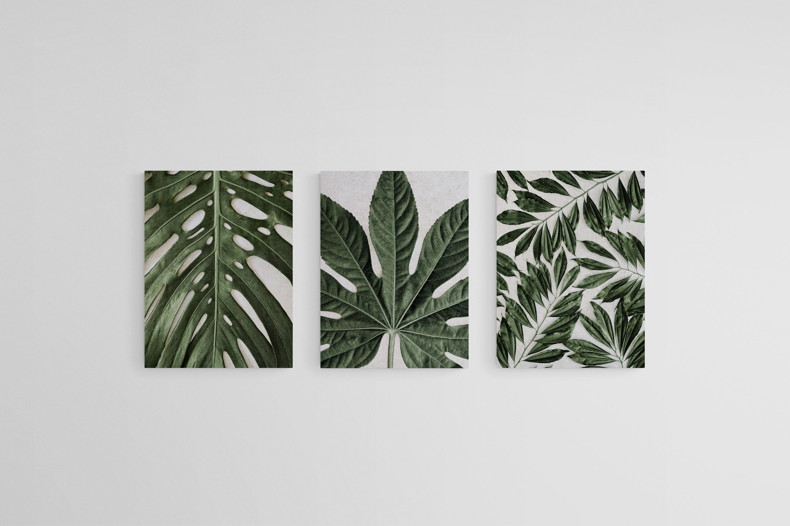 Tropical Leaves Set-Wall_Art-45 x 60cm (x3)-Mounted Canvas-No Frame-Pixalot