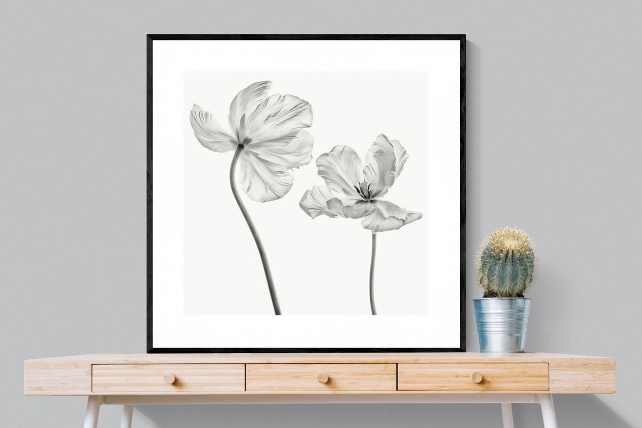 Tulip-Wall_Art-100 x 100cm-Framed Print-Black-Pixalot