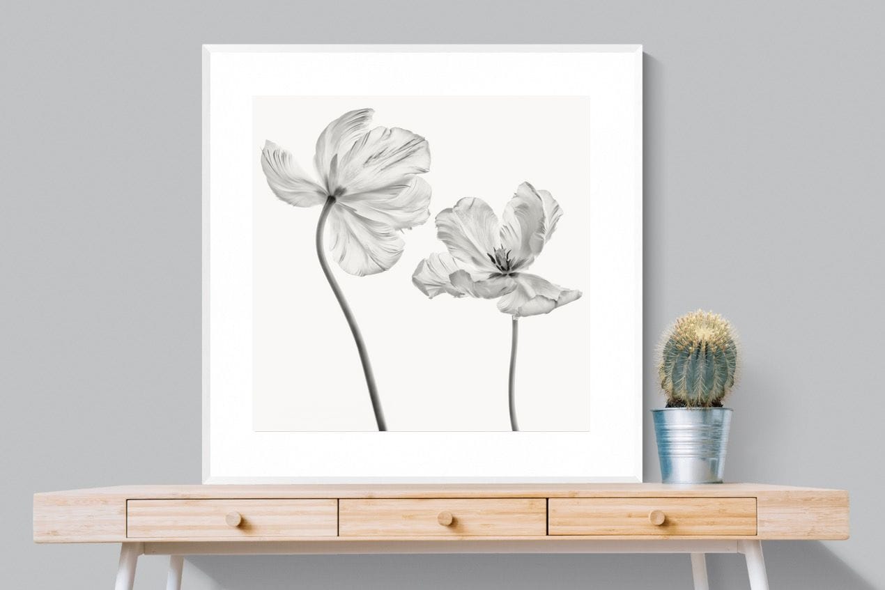 Tulip-Wall_Art-100 x 100cm-Framed Print-White-Pixalot
