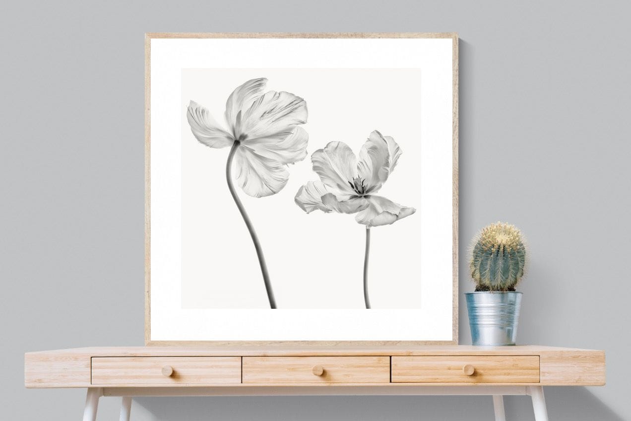 Tulip-Wall_Art-100 x 100cm-Framed Print-Wood-Pixalot