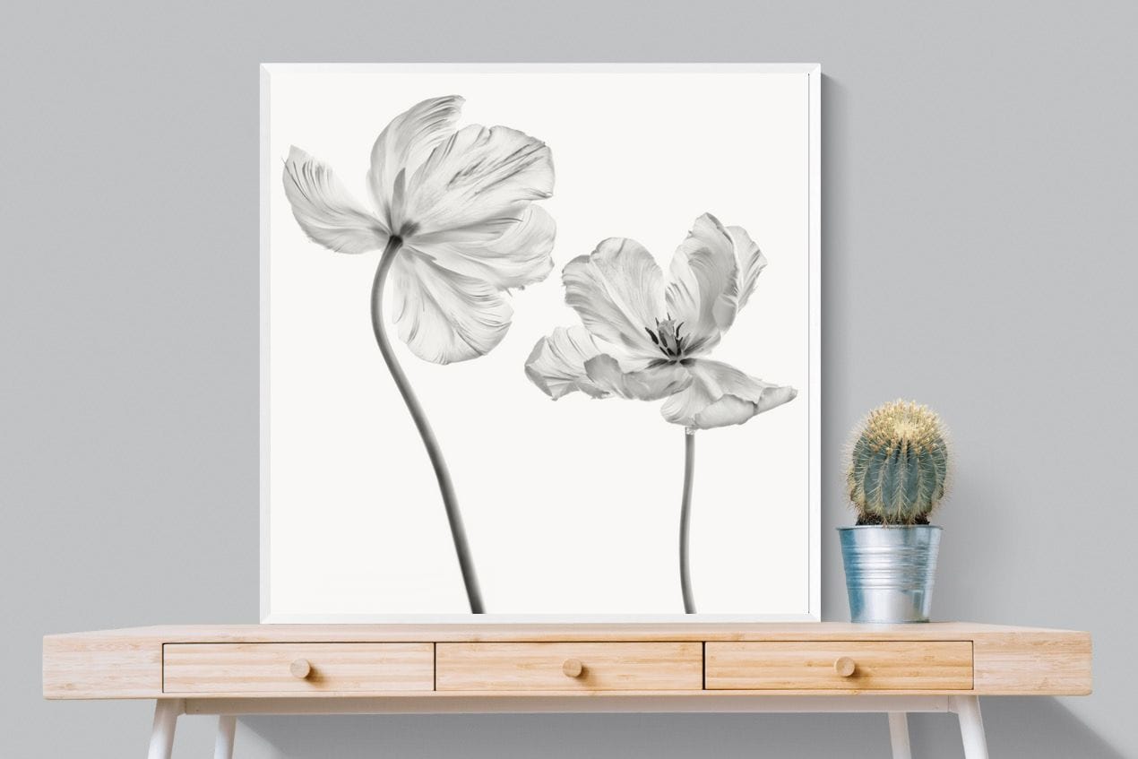 Tulip-Wall_Art-100 x 100cm-Mounted Canvas-White-Pixalot