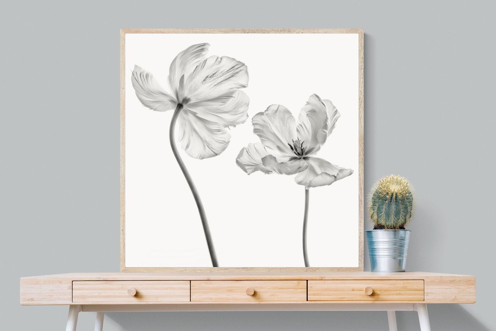 Tulip-Wall_Art-100 x 100cm-Mounted Canvas-Wood-Pixalot