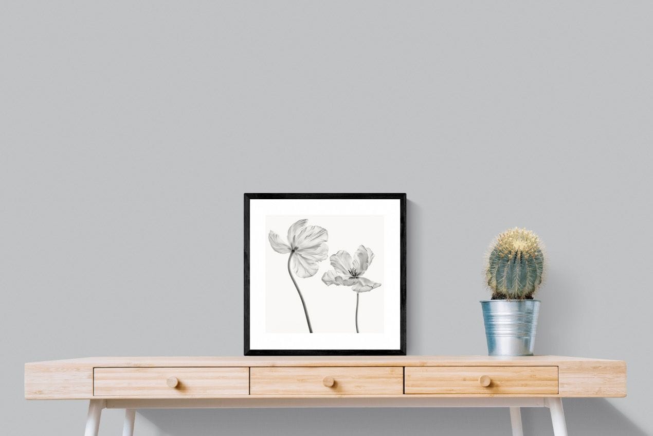 Tulip-Wall_Art-50 x 50cm-Framed Print-Black-Pixalot