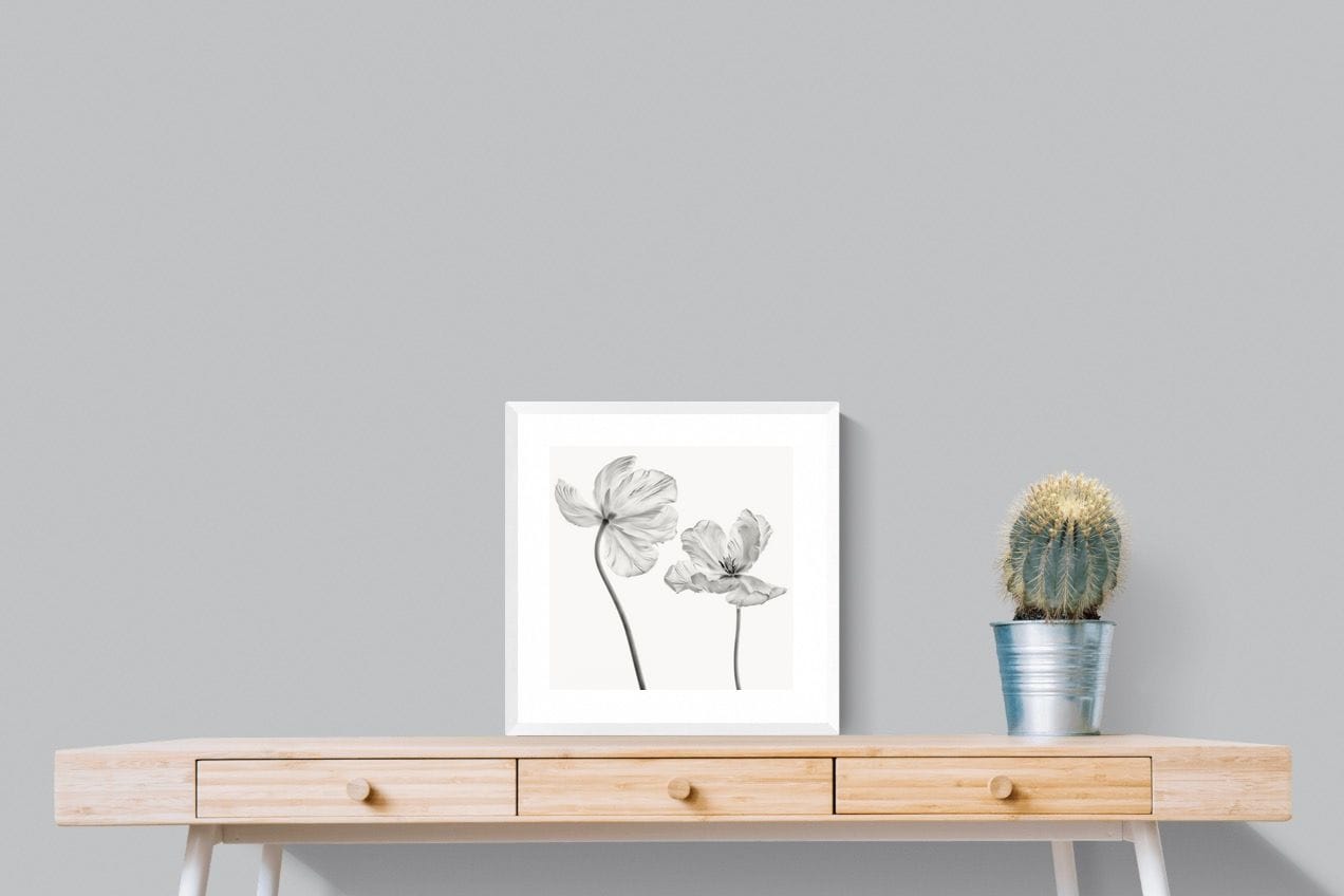 Tulip-Wall_Art-50 x 50cm-Framed Print-White-Pixalot