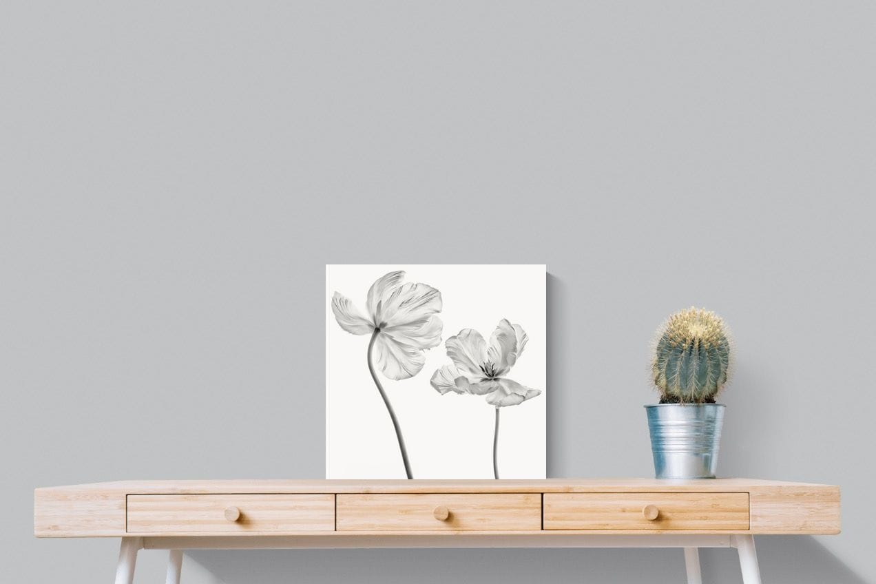 Tulip-Wall_Art-50 x 50cm-Mounted Canvas-No Frame-Pixalot