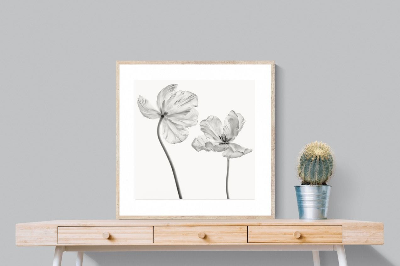Tulip-Wall_Art-80 x 80cm-Framed Print-Wood-Pixalot