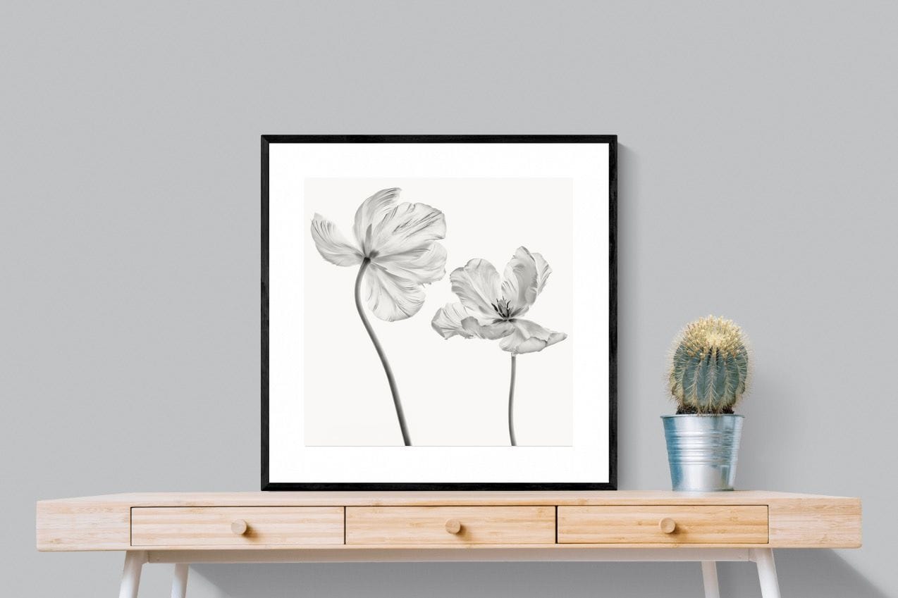 Tulip-Wall_Art-80 x 80cm-Framed Print-Black-Pixalot