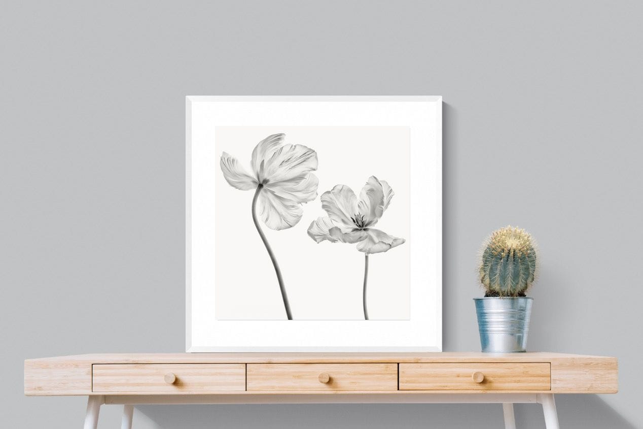 Tulip-Wall_Art-80 x 80cm-Framed Print-White-Pixalot