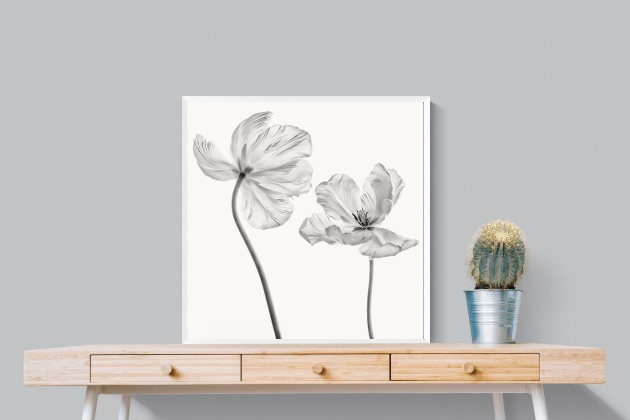 Tulip-Wall_Art-80 x 80cm-Mounted Canvas-White-Pixalot