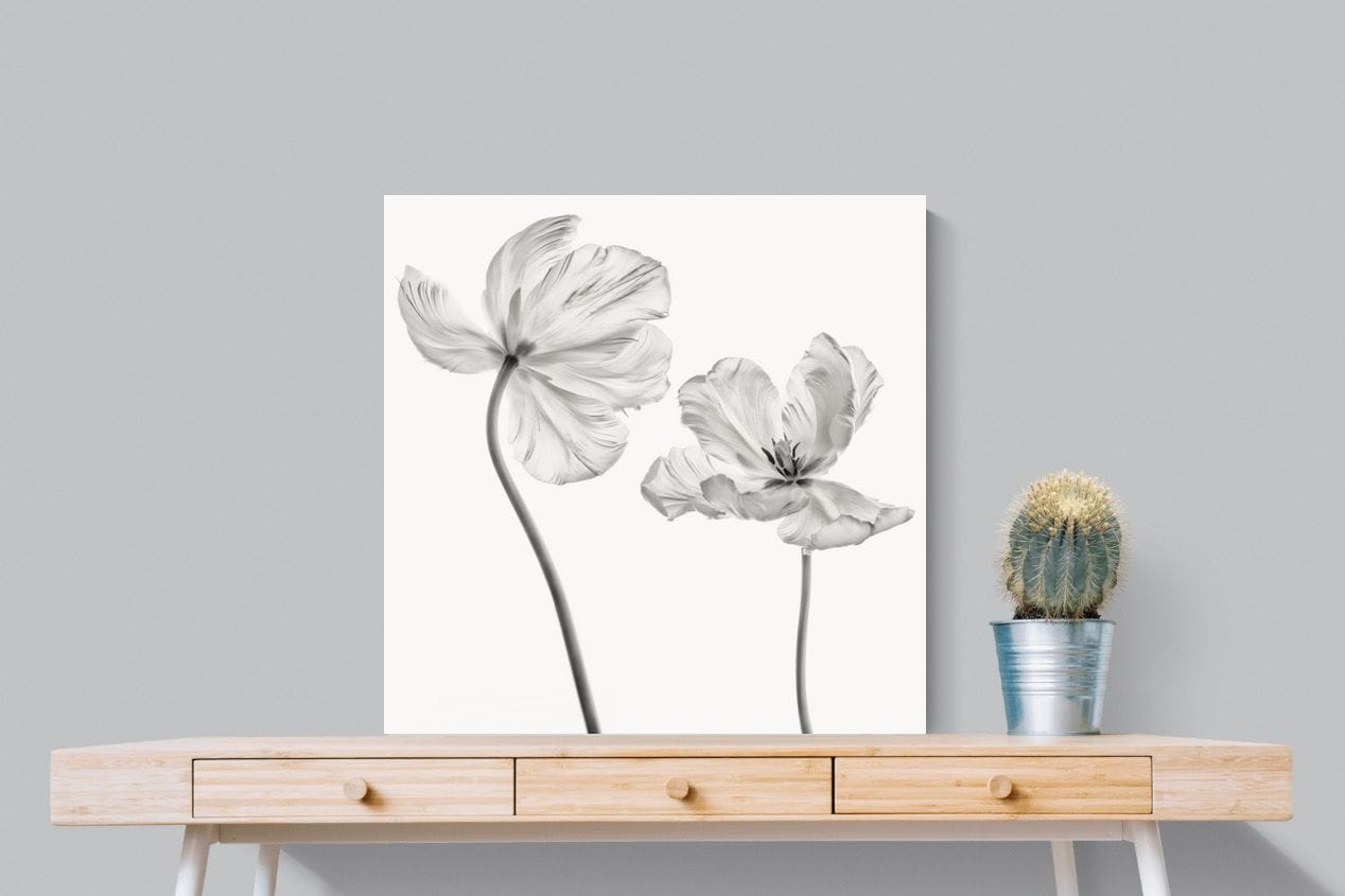 Tulip-Wall_Art-80 x 80cm-Mounted Canvas-No Frame-Pixalot