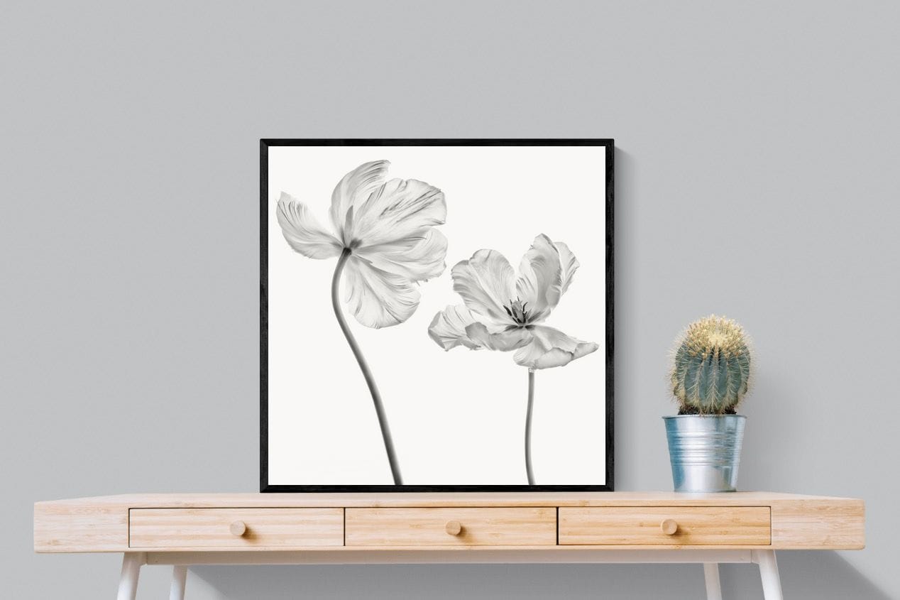 Tulip-Wall_Art-80 x 80cm-Mounted Canvas-Black-Pixalot