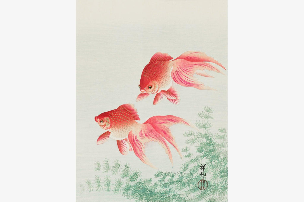 Two Veil Goldfish-Wall_Art-Pixalot