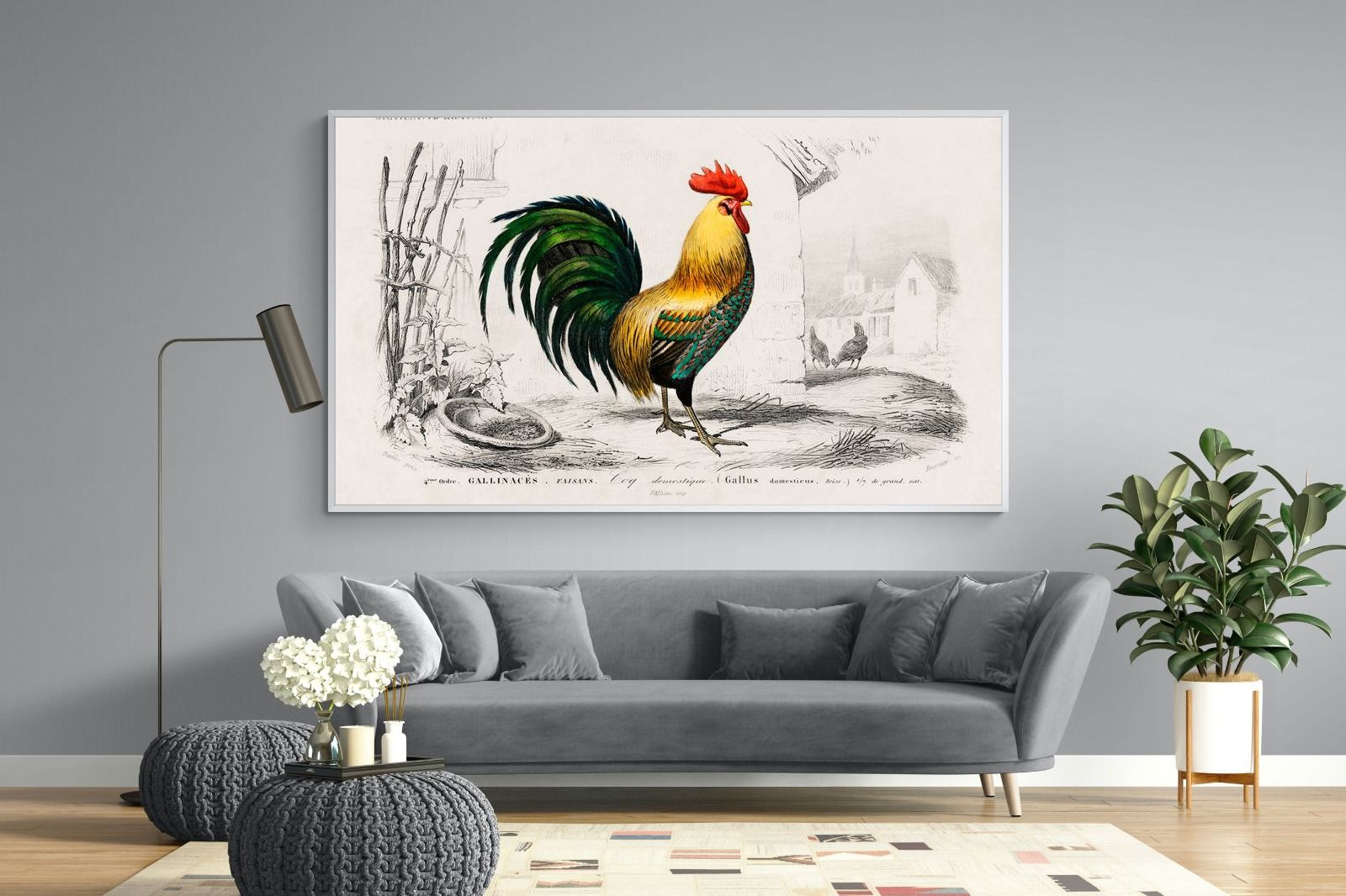 Pixalot Vintage Cockerel Illustration