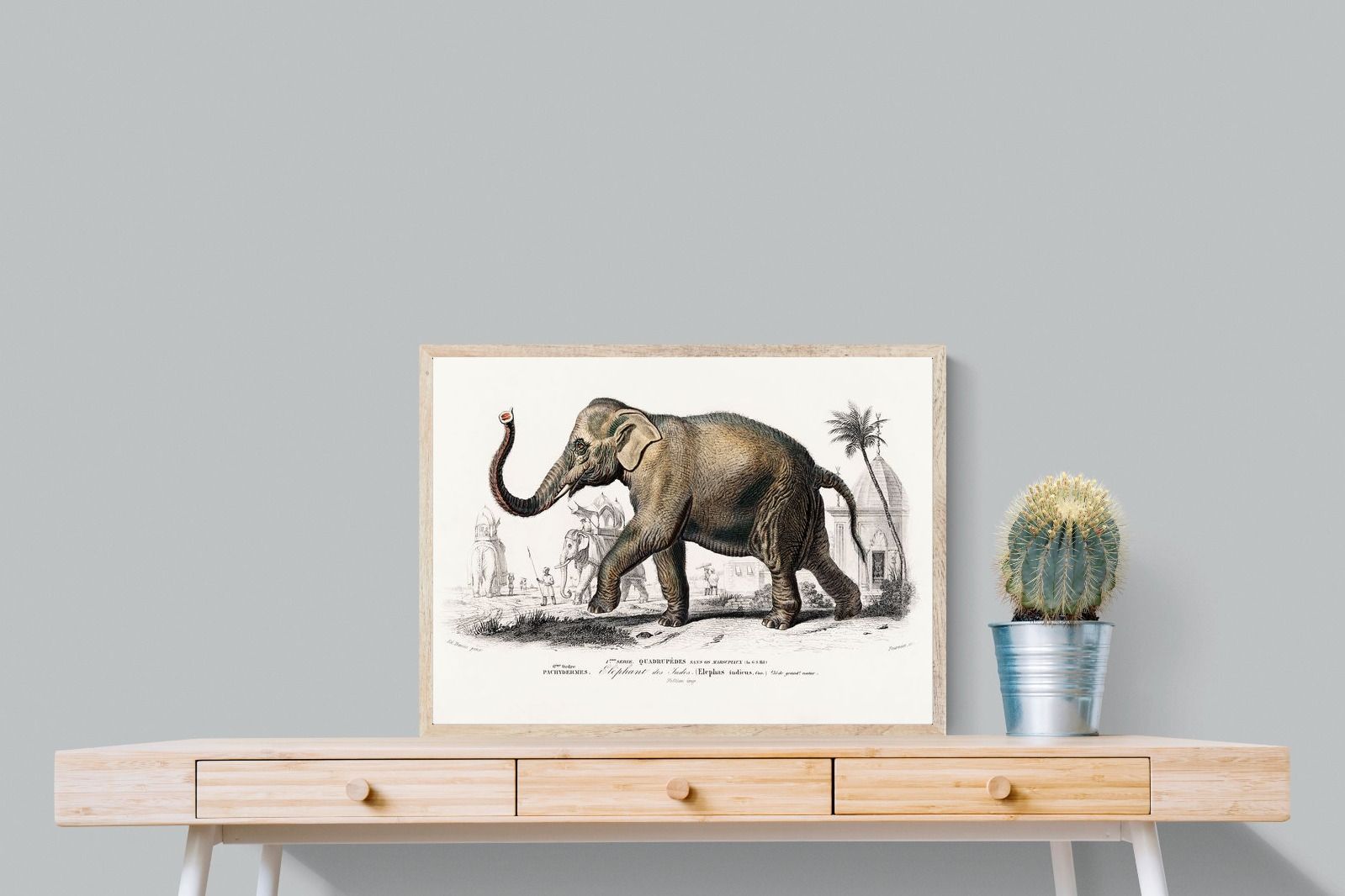 Pixalot Vintage Elephant Illustration
