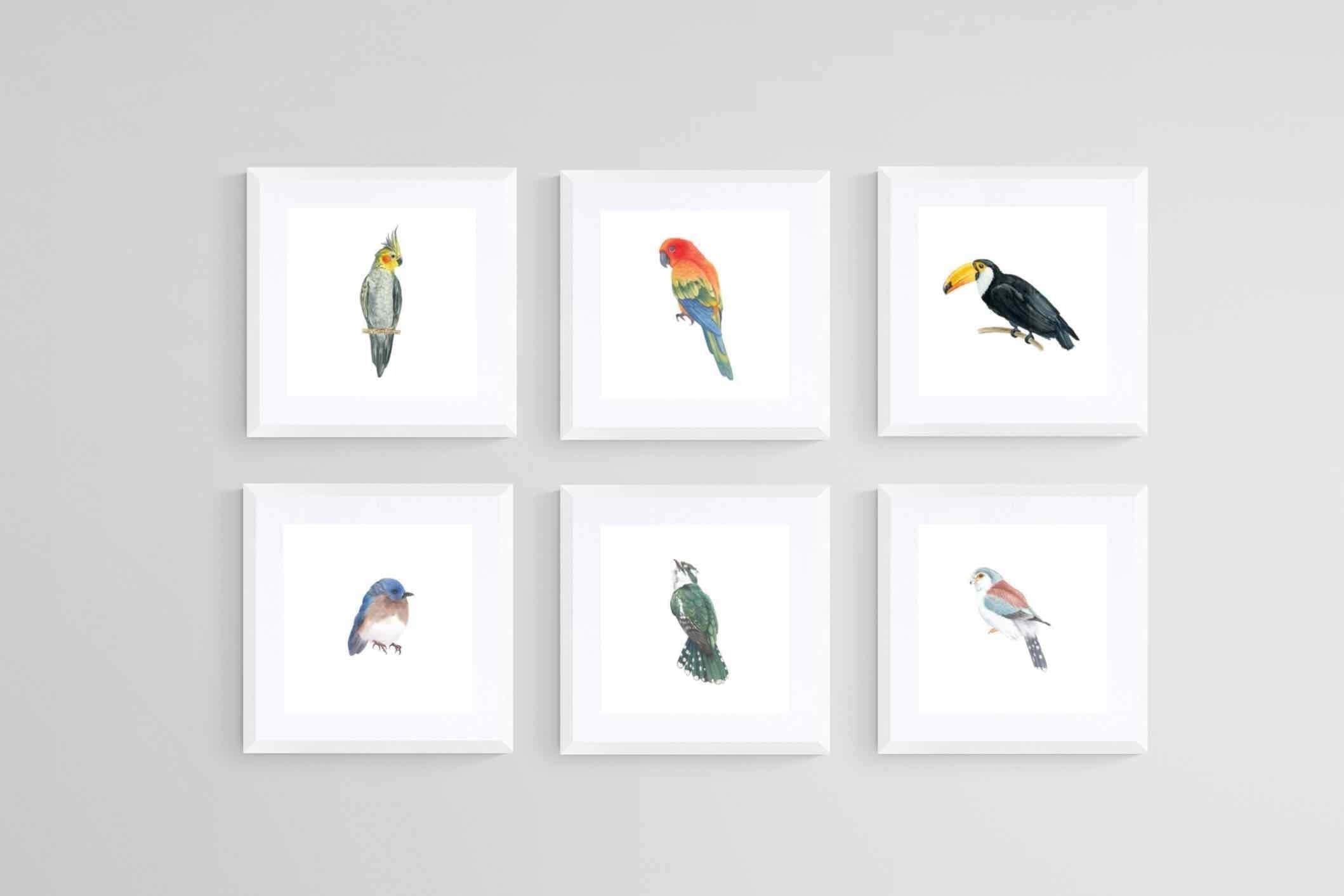 Watercolour Birds Set-Wall_Art-30 x 30cm (x6)-Framed Print-White-Pixalot