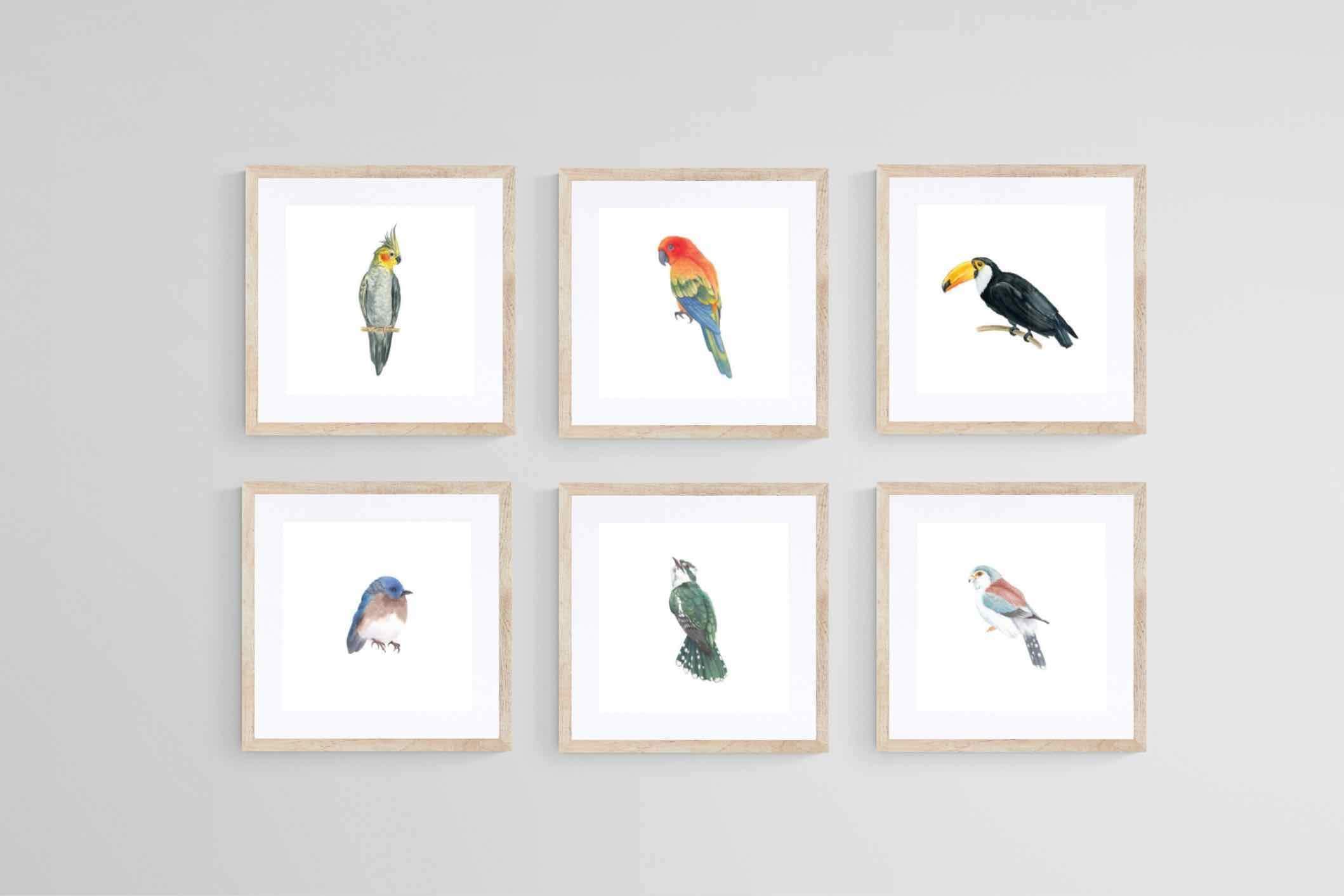 Watercolour Birds Set-Wall_Art-30 x 30cm (x6)-Framed Print-Wood-Pixalot