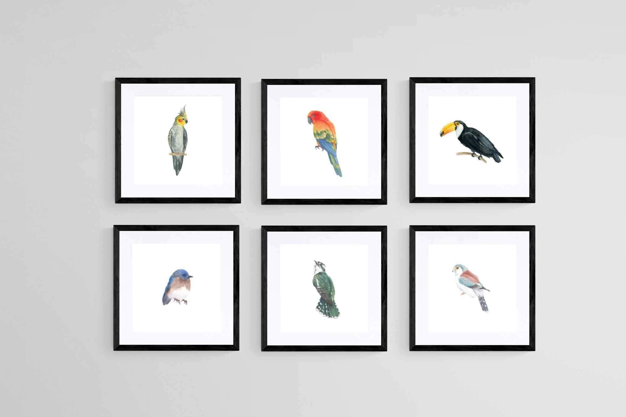 Watercolour Birds Set-Wall_Art-30 x 30cm (x6)-Framed Print-Black-Pixalot