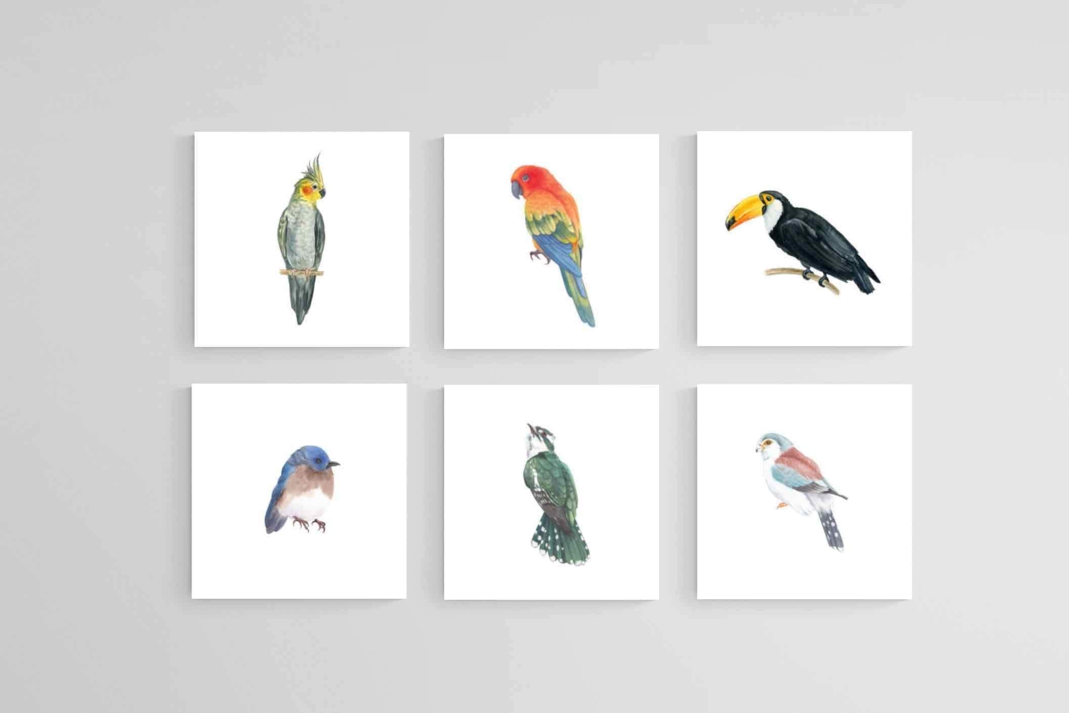 Watercolour Birds Set-Wall_Art-30 x 30cm (x6)-Mounted Canvas-No Frame-Pixalot