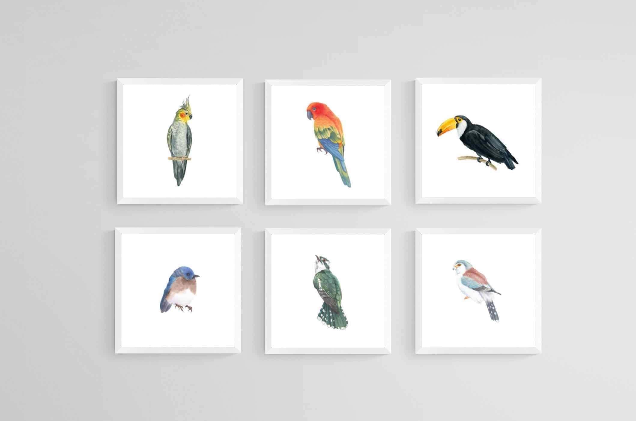 Watercolour Birds Set-Wall_Art-30 x 30cm (x6)-Mounted Canvas-White-Pixalot