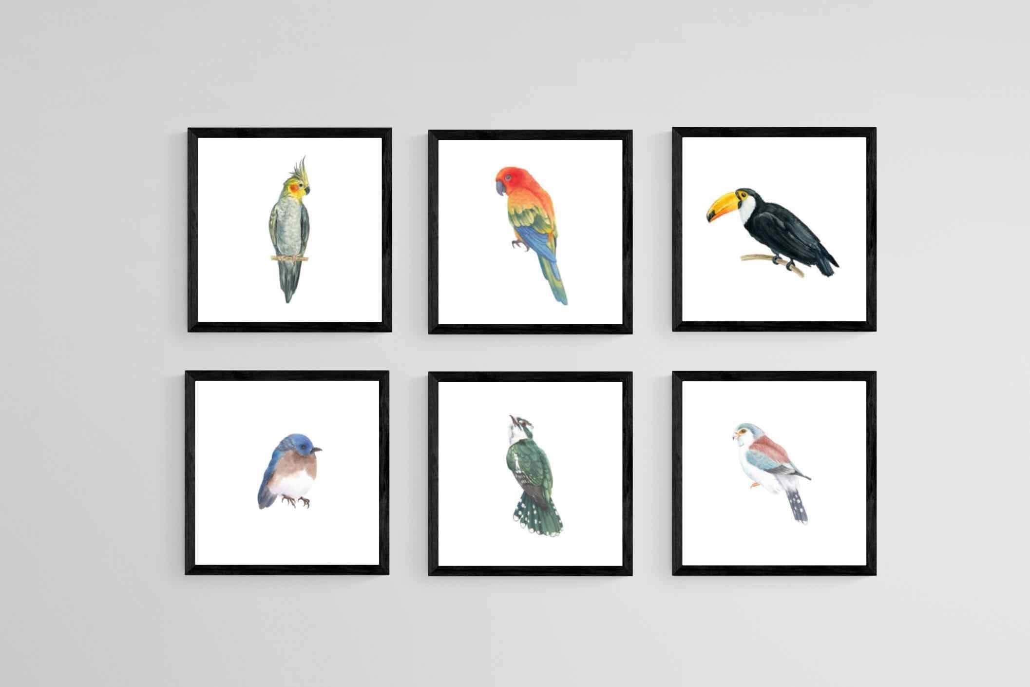 Watercolour Birds Set-Wall_Art-30 x 30cm (x6)-Mounted Canvas-Black-Pixalot