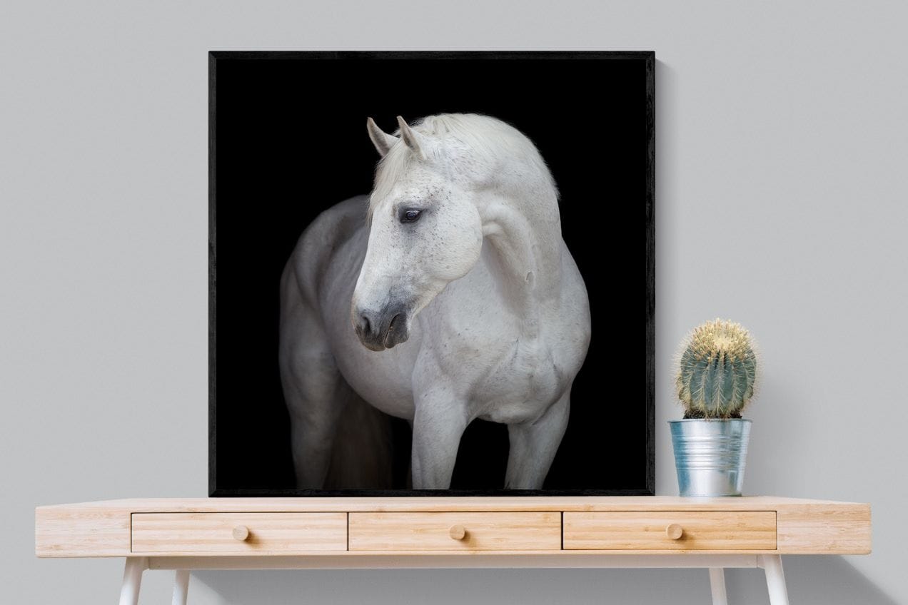 White Light-Wall_Art-100 x 100cm-Mounted Canvas-Black-Pixalot