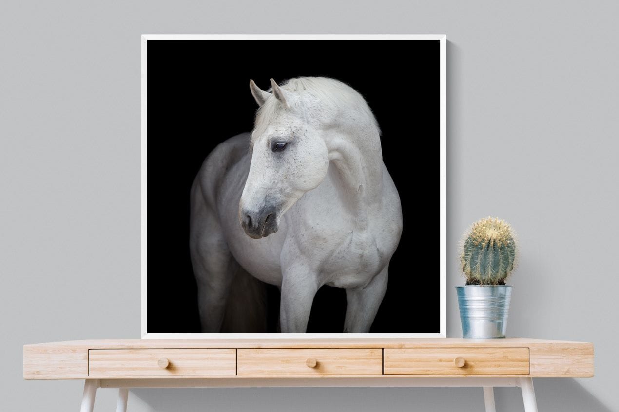 White Light-Wall_Art-100 x 100cm-Mounted Canvas-White-Pixalot
