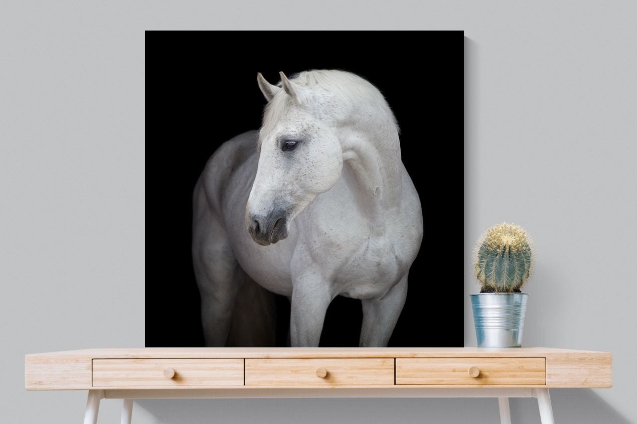 White Light-Wall_Art-100 x 100cm-Mounted Canvas-No Frame-Pixalot