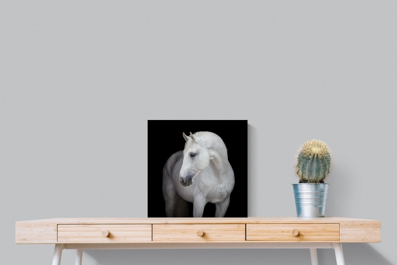 White Light-Wall_Art-50 x 50cm-Mounted Canvas-No Frame-Pixalot