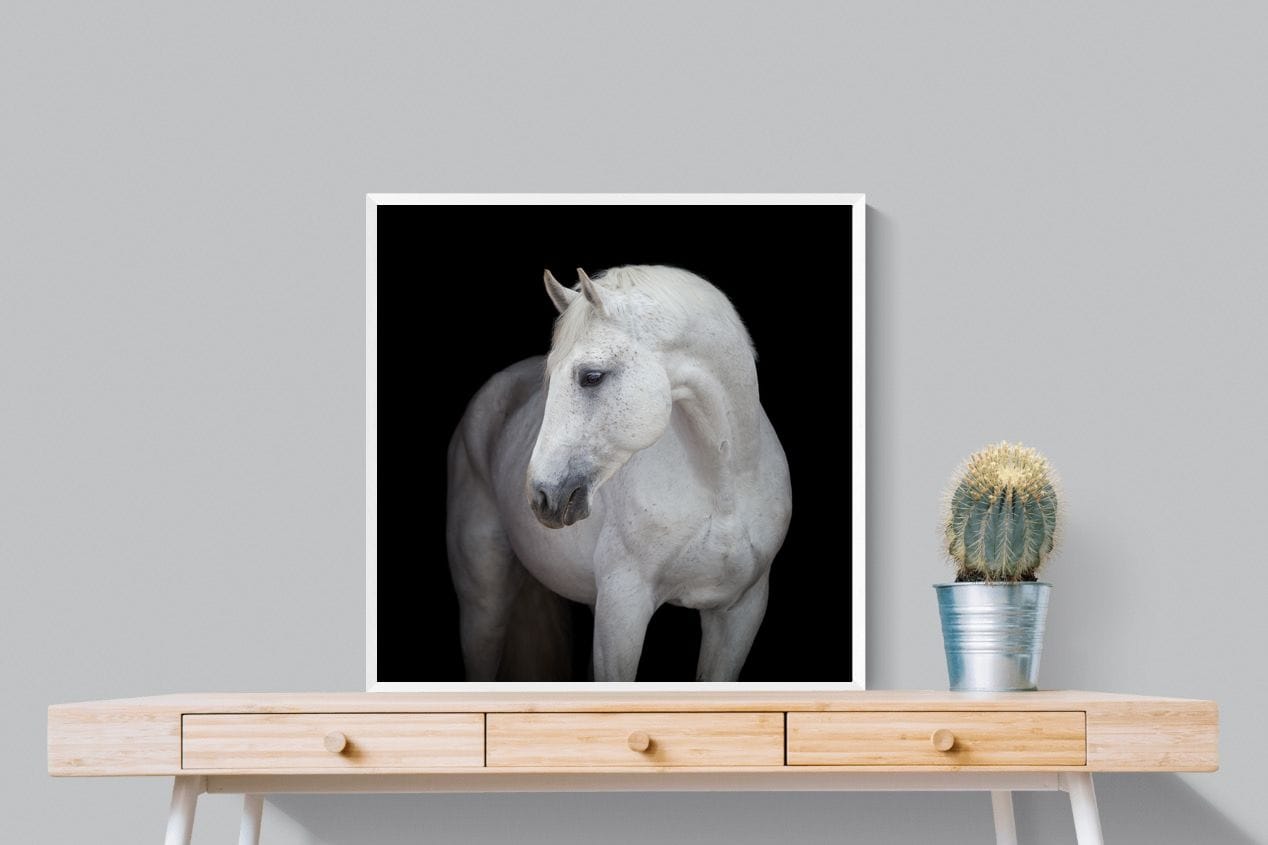 White Light-Wall_Art-80 x 80cm-Mounted Canvas-White-Pixalot