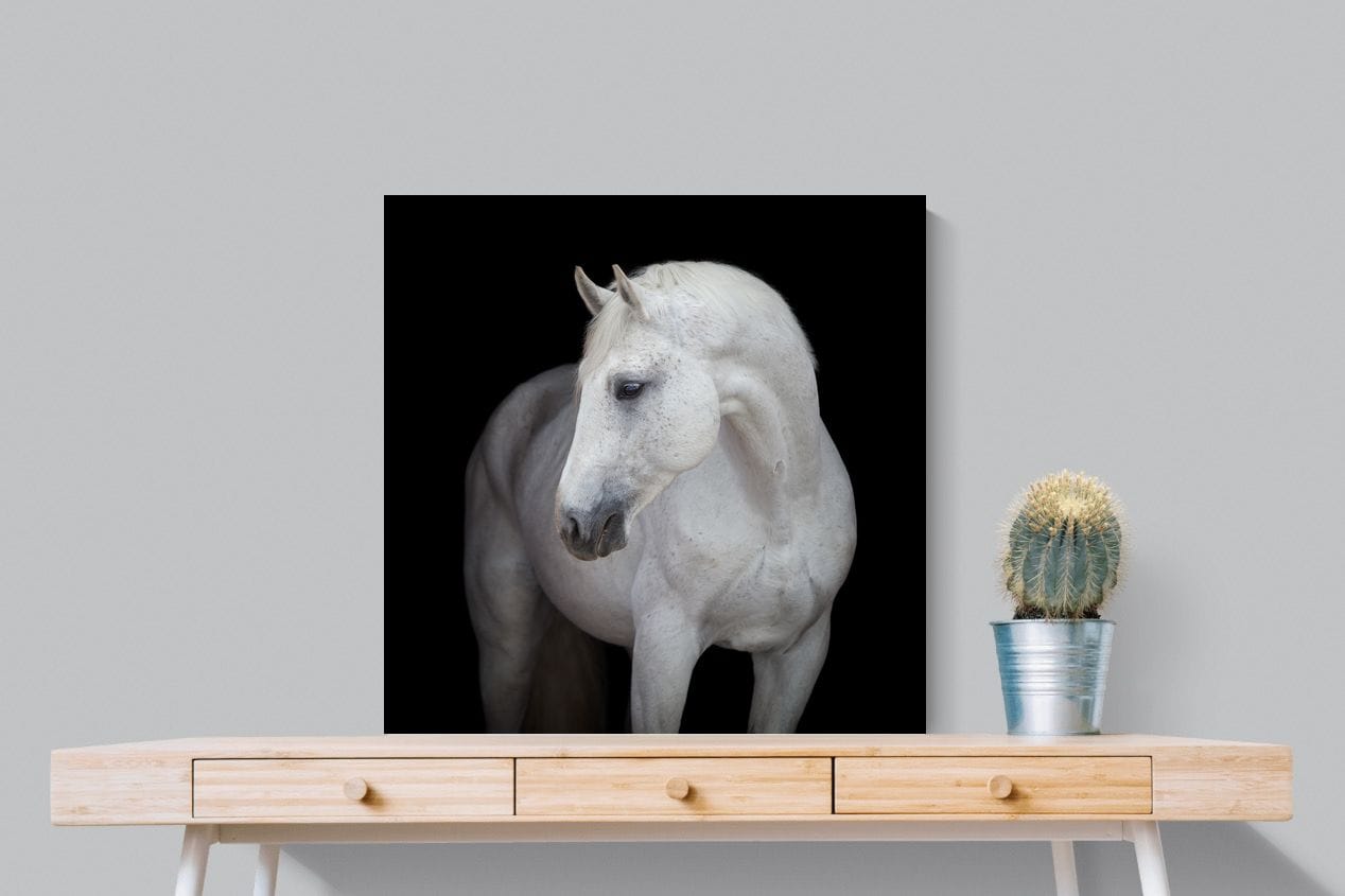White Light-Wall_Art-80 x 80cm-Mounted Canvas-No Frame-Pixalot
