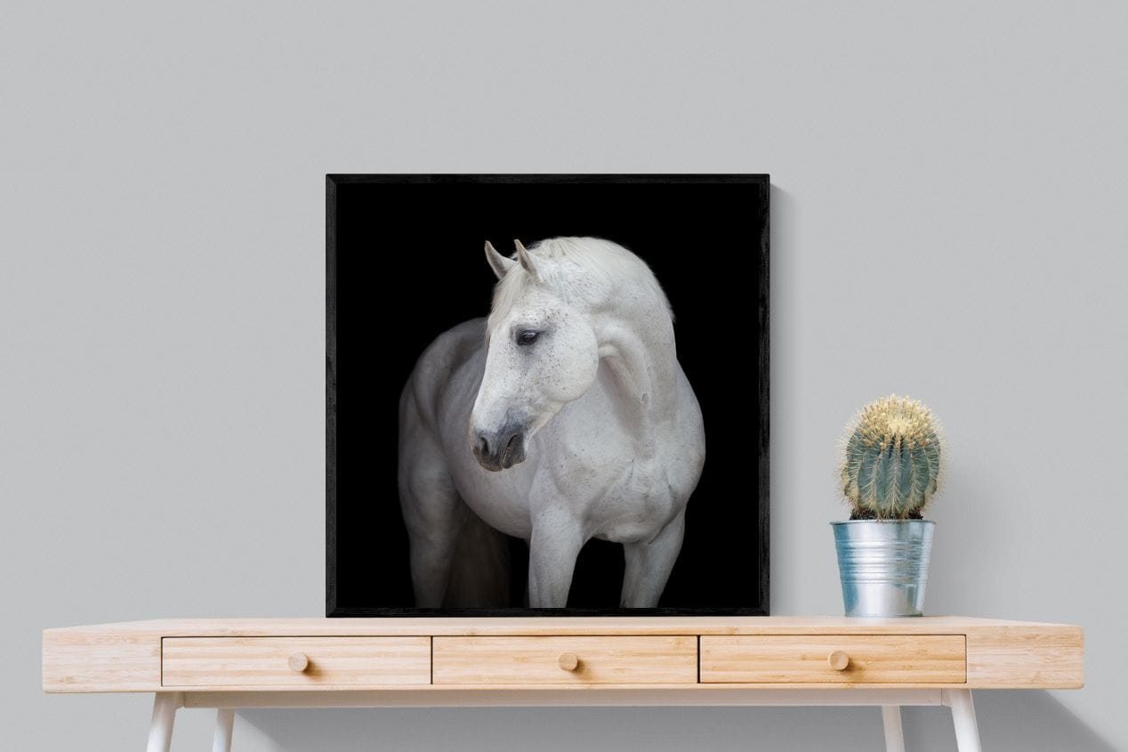 White Light-Wall_Art-80 x 80cm-Mounted Canvas-Black-Pixalot