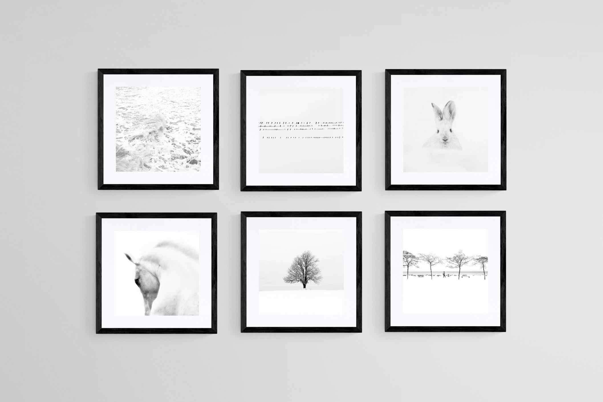 White Set-Wall_Art-30 x 30cm (x6)-Framed Print-Black-Pixalot