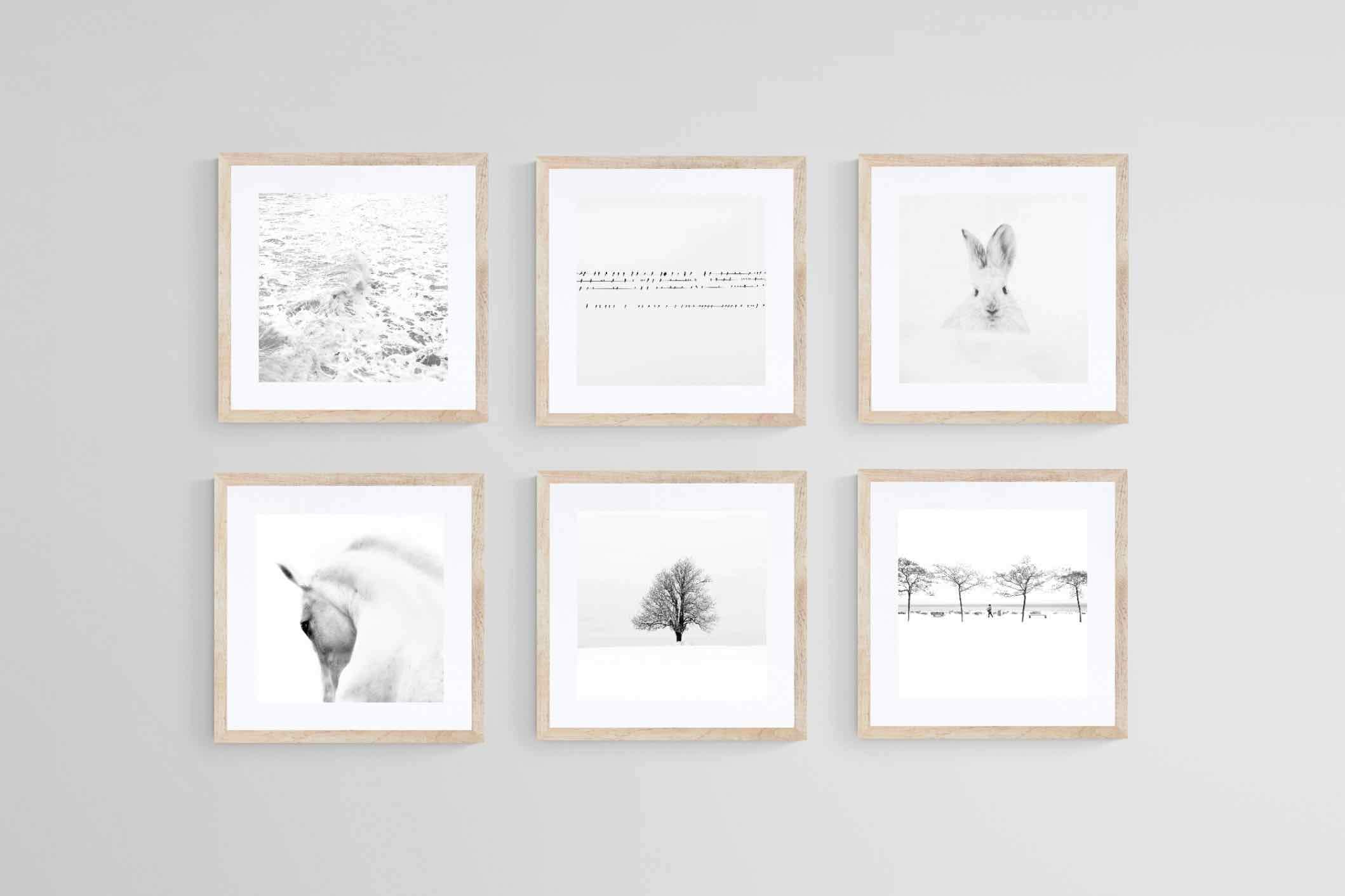 White Set-Wall_Art-30 x 30cm (x6)-Framed Print-Wood-Pixalot