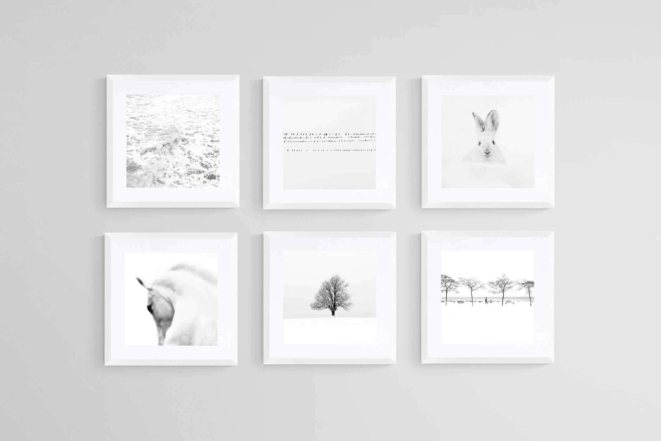 White Set-Wall_Art-30 x 30cm (x6)-Framed Print-White-Pixalot