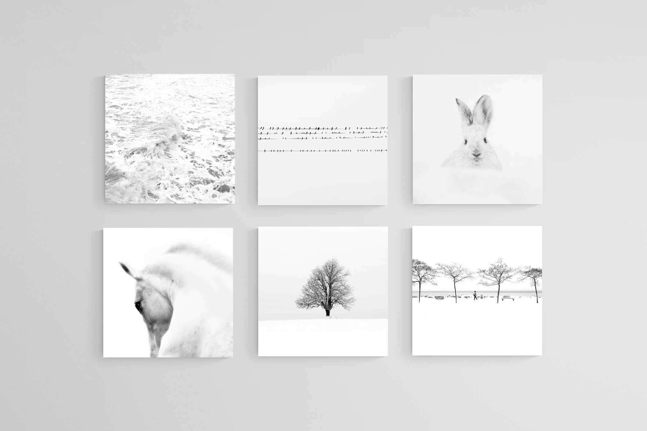 White Set-Wall_Art-30 x 30cm (x6)-Mounted Canvas-No Frame-Pixalot