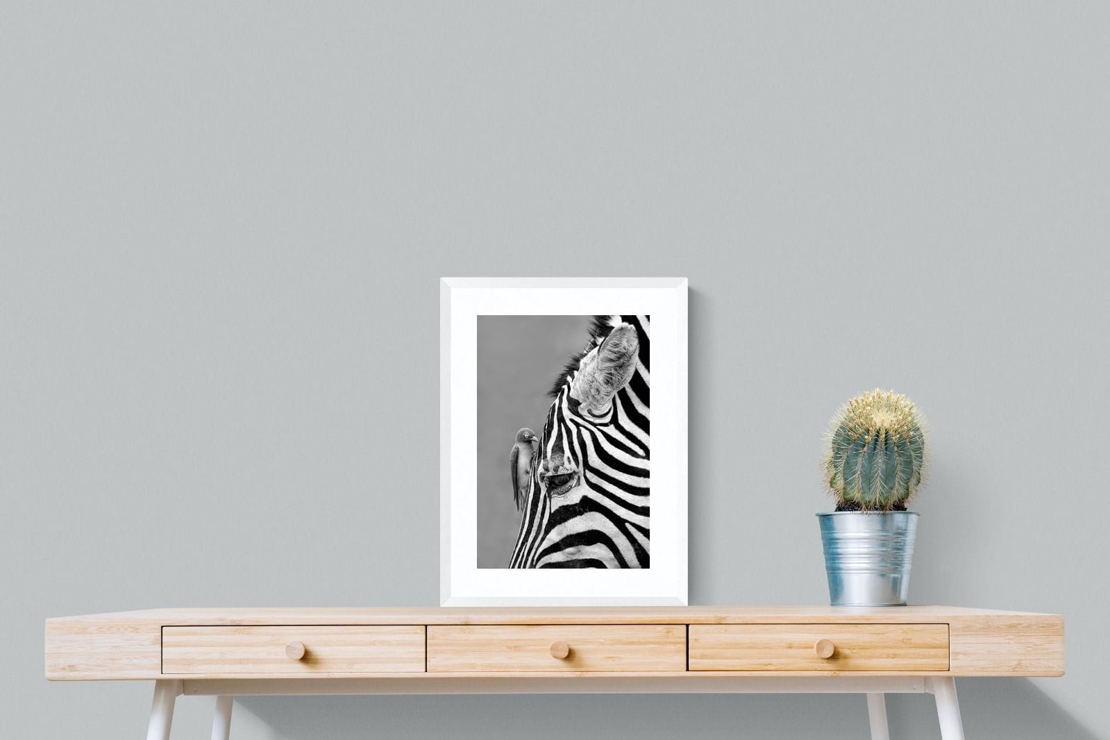 Zebra Sip-Wall_Art-45 x 60cm-Framed Print-White-Pixalot