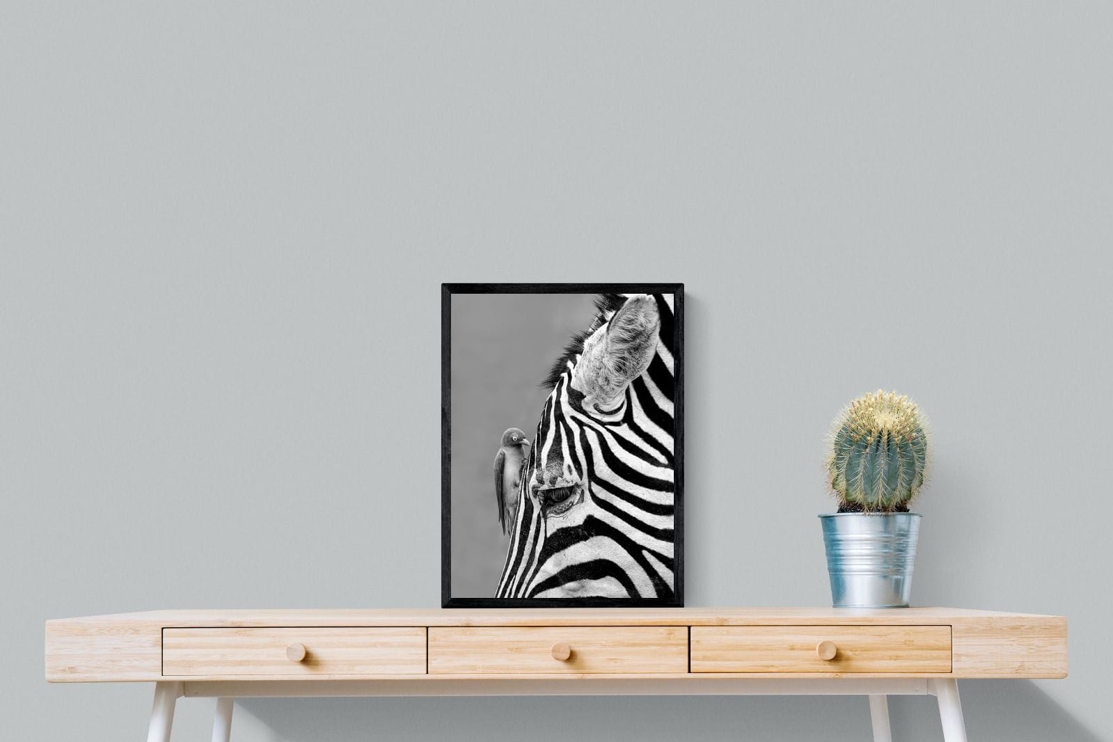 Zebra Sip-Wall_Art-45 x 60cm-Mounted Canvas-Black-Pixalot