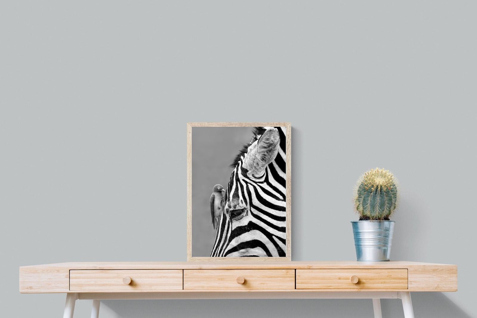Zebra Sip-Wall_Art-45 x 60cm-Mounted Canvas-Wood-Pixalot