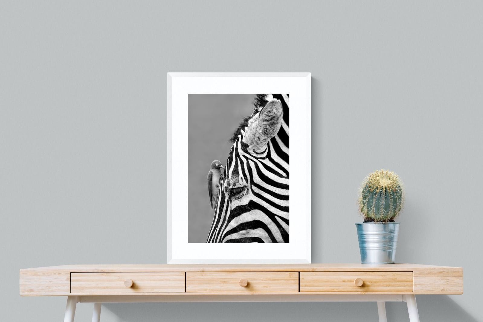 Zebra Sip-Wall_Art-60 x 80cm-Framed Print-White-Pixalot
