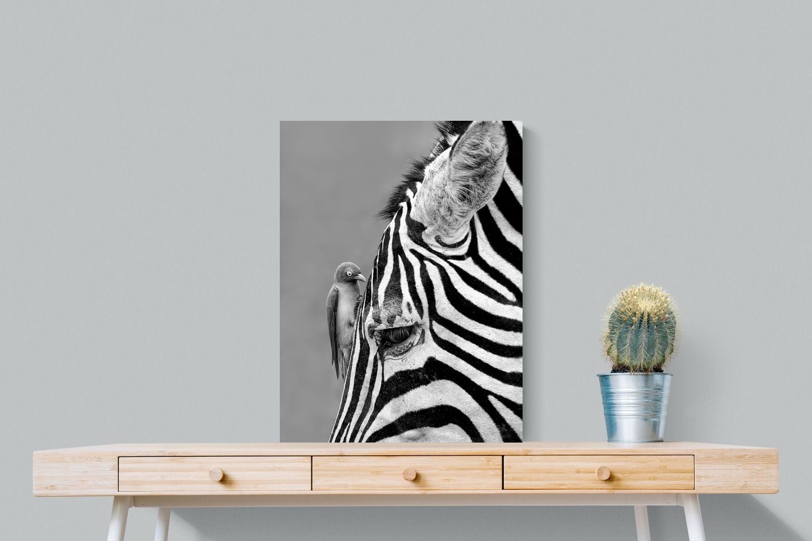 Zebra Sip-Wall_Art-60 x 80cm-Mounted Canvas-No Frame-Pixalot