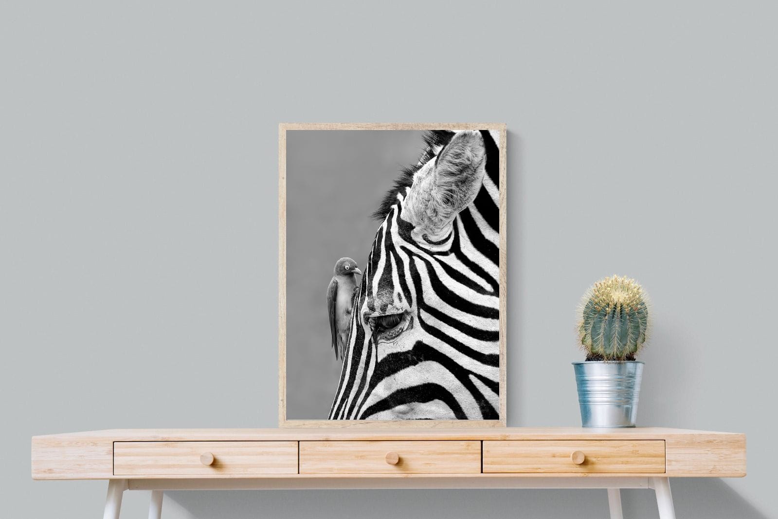 Zebra Sip-Wall_Art-60 x 80cm-Mounted Canvas-Wood-Pixalot